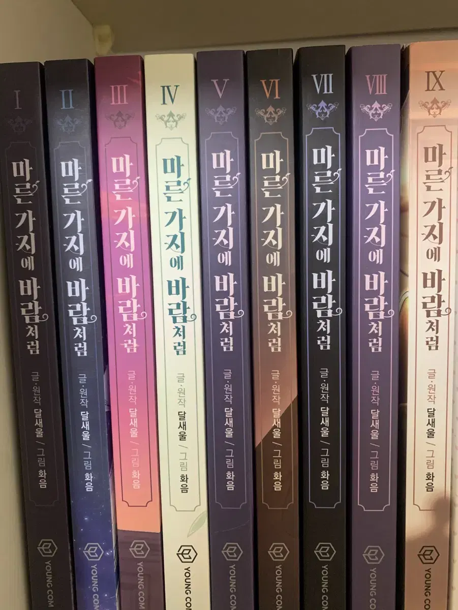 마른가지에 바람처럼 1~9권 일괄